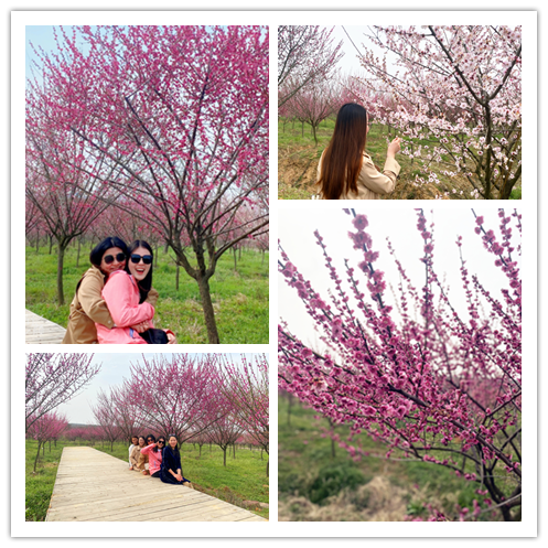 IMG_380411_副本.png IMG_380411_副本.png